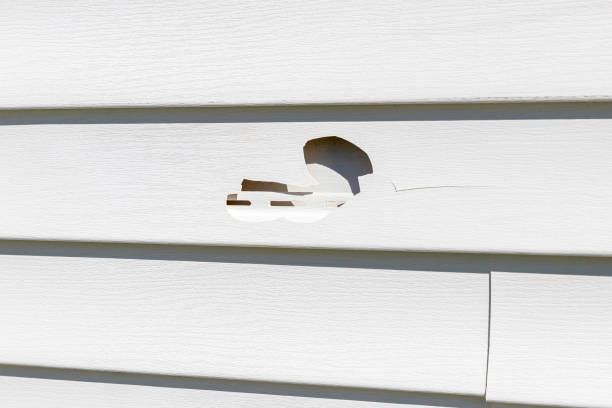 Best Same-Day Junk Removal Services  in Mcgraw, NY